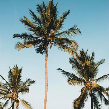 Calm and Serene