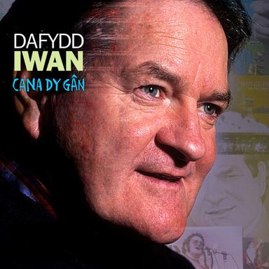 Gofyn Am Y Cyfan