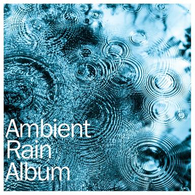 Rain in the Garden