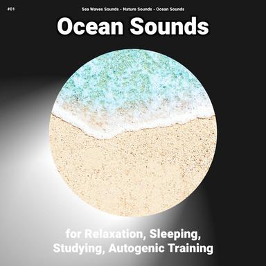 Splashing Ocean Sounds