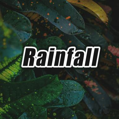 Rain Ambience