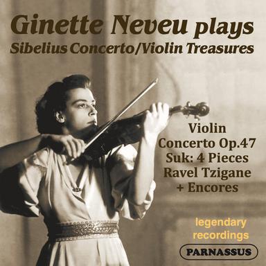 Violin Concerto in D Minor, Op. 47: I. Allegro moderato