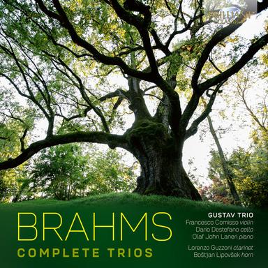 Piano Trio, Op. 40 in E-Flat Major: III. Adagio Mesto
