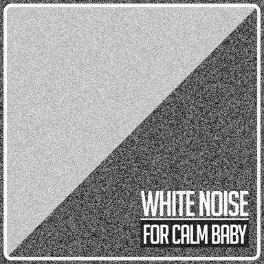 White Noise Spark