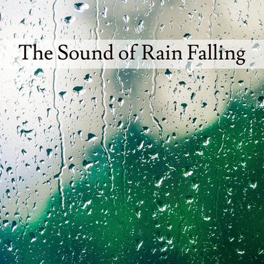Rain Water