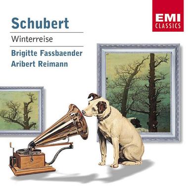 Winterreise D911: Täuschung