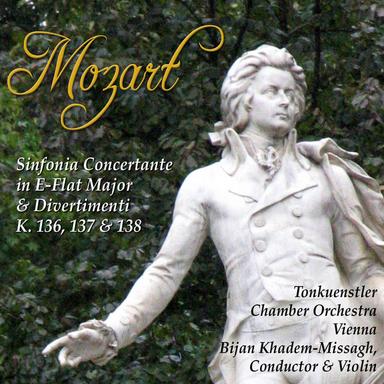 Sinfonia Concertante In E-Flat Major For Violin, Viola And Orchestra, K. 364: II. Andante