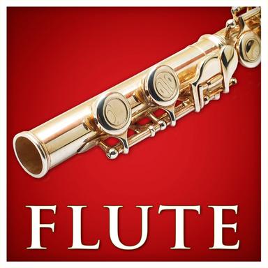Andante for Flute and Orchestra in C Major, K. 315