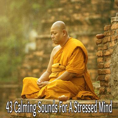 Distinct Peace