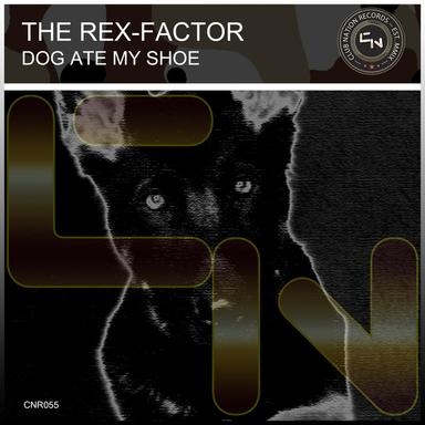 Dog Ate My Shoe - DnB Mix