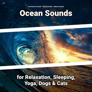 Ocean Beach for Reiki