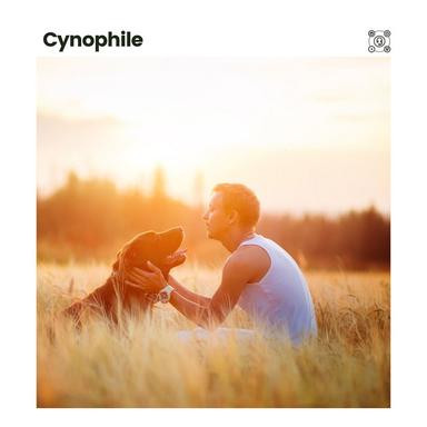 Home on Halloween Calming Music for Dogs, Pt. 1