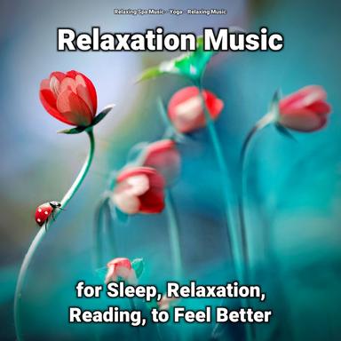 Exquisite Relaxation Music