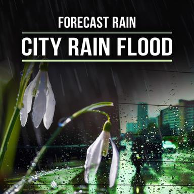 City Rain Flood