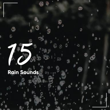 Meditate in the Rain