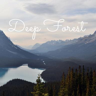 Forest Sounds
