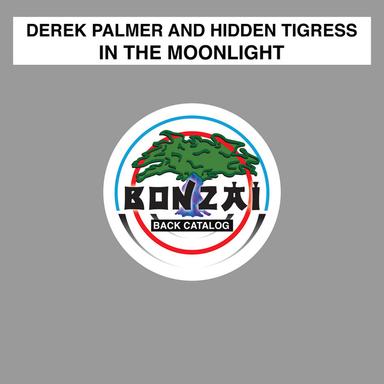 In The Moonlight - Extended Mix