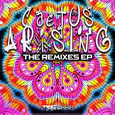 Universal Enlightenment - Cactus Arising Remix