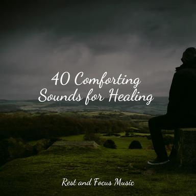 Soothing Ambience