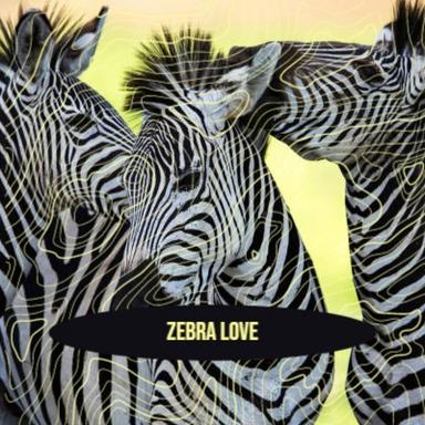 Zebra Love
