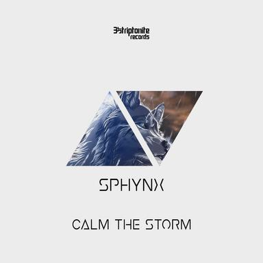 Calm the Storm