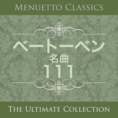 Violin Concerto in D Major, Op. 61: II. Larghetto (Cadenzas by Jascha Heifetz)