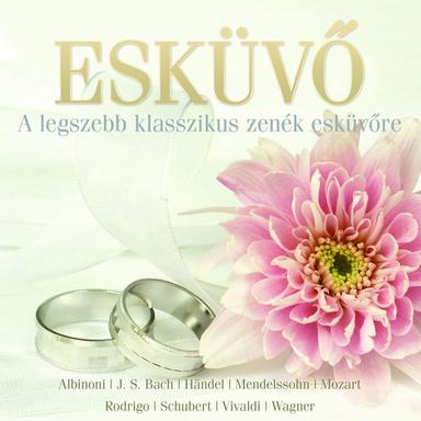 Brandenburg Concerto No. 3 in G Major, BWV 1048: I. Allegro