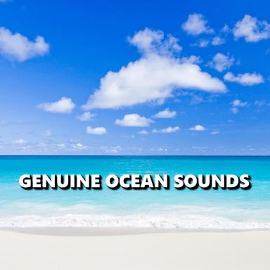 Striking Meditation Ocean Sounds