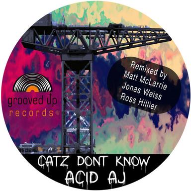 Catz Don't Know - Ross Hillier Remix