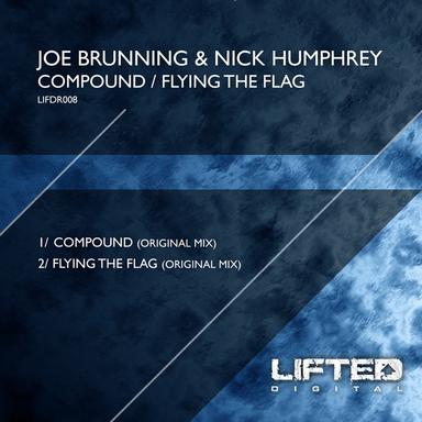 Flying The Flag - Original Mix