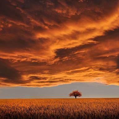 Templos en Crepúsculo