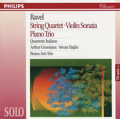Violin Sonata in G Major, M 77: 3. Perpetuum mobile (Allegro)
