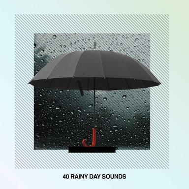 Rain and Birds