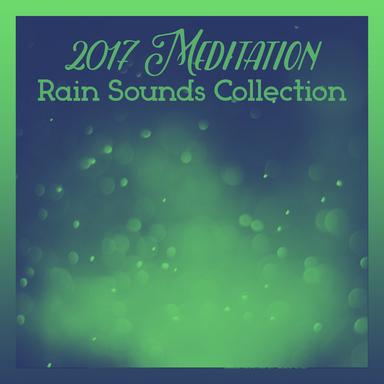 Rain In The Meadow