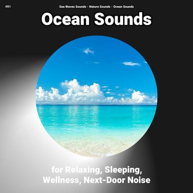 Sea Noises Ambience for Your Mind