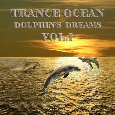 Sun Rising High - French Vocal Edit
