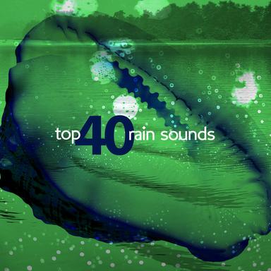 Summer Rain Birds