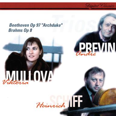 Piano Trio No.1 In B, Op.8: 1. Allegro con brio