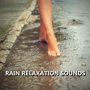 Distinctive Meditation Rain Sounds