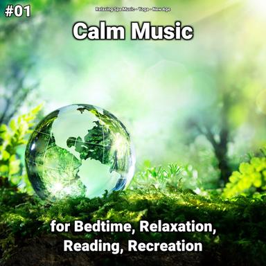 Splendid Relaxation