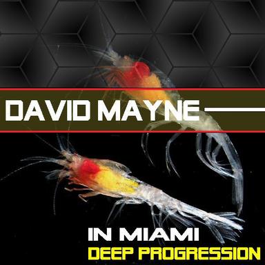 Deep Progression - Original