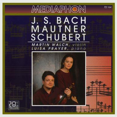 Fantasie in C Major for Violin and Piano, D. 934: I. Andante molto