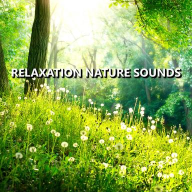 Tranquil Garden Nature Sounds