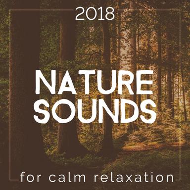 Binaural Sound With Ducks