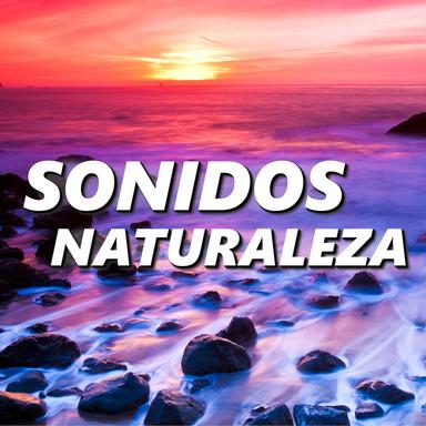 Sonidos Relajantes del Mar
