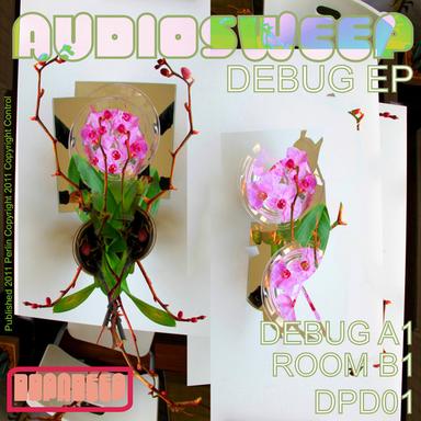 Debug