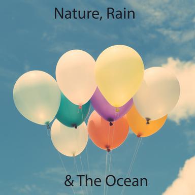 Rain Sound: Tropical Forest