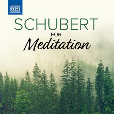 Wiegenlied, Op. 98 No. 2, D. 498 (Arr. for Orchestra by Anonymous)