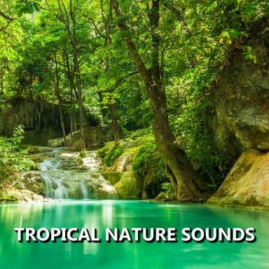 Carefree Outside Nature Sounds