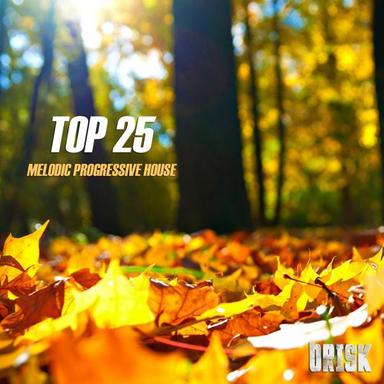 Melodic Progressive House - Top 25